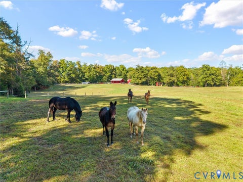 Tiny photo for 9877 Swinging Bridge Road, Quinton, VA 23141 (MLS # 2628193)