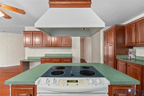 Tiny photo for 9174 Howardsville Road, Howardsville, VA 24562 (MLS # 2533201)