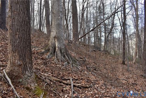 Tiny photo for 9623 Crabtree Falls Highway, Montebello, VA 24464 (MLS # 2608592)