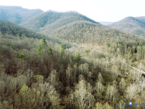 Tiny photo for 9623 Crabtree Falls Highway, Montebello, VA 24464 (MLS # 2608592)