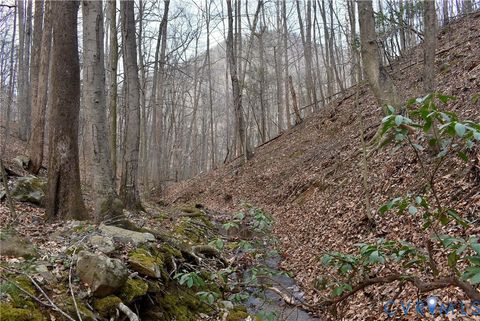 Tiny photo for 9623 Crabtree Falls Highway, Montebello, VA 24464 (MLS # 2608592)