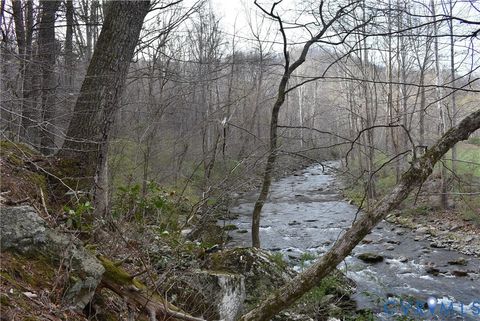 Tiny photo for 9623 Crabtree Falls Highway, Montebello, VA 24464 (MLS # 2608592)