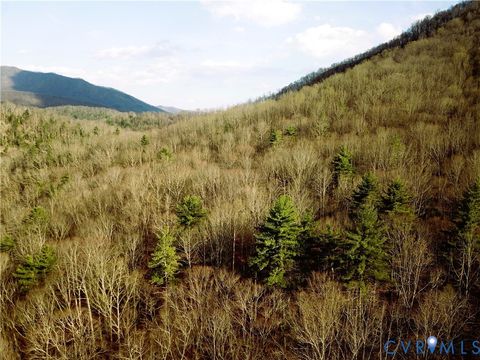 Tiny photo for 9623 Crabtree Falls Highway, Montebello, VA 24464 (MLS # 2608592)