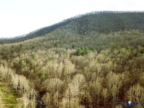 Tiny photo for 9623 Crabtree Falls Highway, Montebello, VA 24464 (MLS # 2608592)