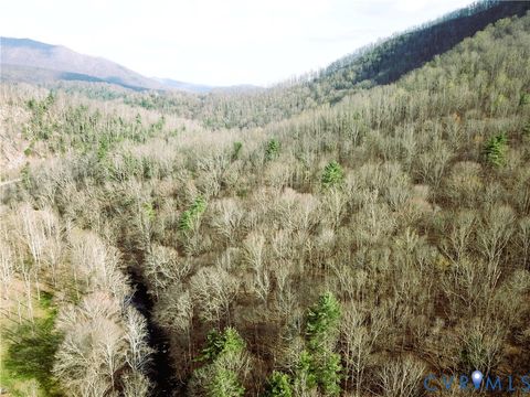 Tiny photo for 9623 Crabtree Falls Highway, Montebello, VA 24464 (MLS # 2608592)