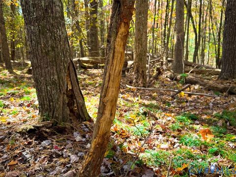 Tiny photo for Stuart, VA 24171 (MLS # 2530633)