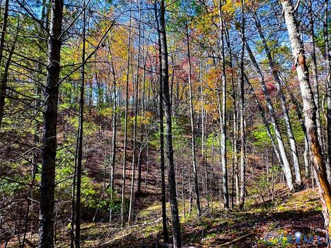 Tiny photo for Stuart, VA 24171 (MLS # 2530633)