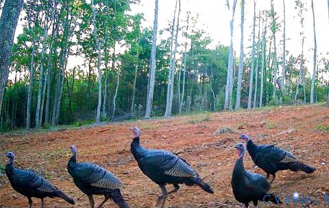 Tiny photo for Stuart, VA 24171 (MLS # 2530633)