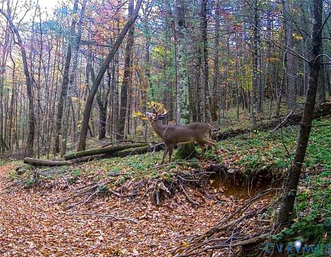 Tiny photo for Stuart, VA 24171 (MLS # 2530633)