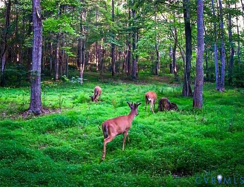 Tiny photo for Stuart, VA 24171 (MLS # 2530633)