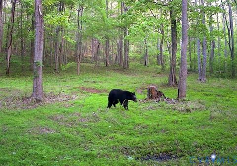 Tiny photo for Stuart, VA 24171 (MLS # 2530633)