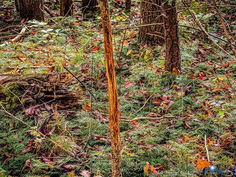 Tiny photo for Stuart, VA 24171 (MLS # 2530633)