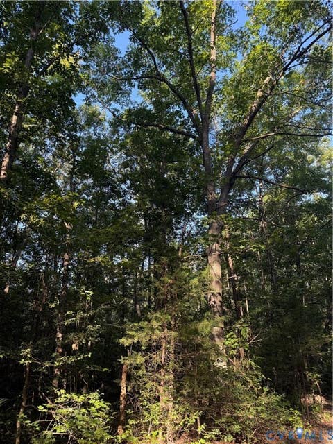Tiny photo for Lot 20 Foxbrook Lane, Louisa, VA 23093 (MLS # 2622651)