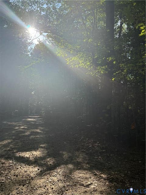 Tiny photo for Lot 20 Foxbrook Lane, Louisa, VA 23093 (MLS # 2622651)