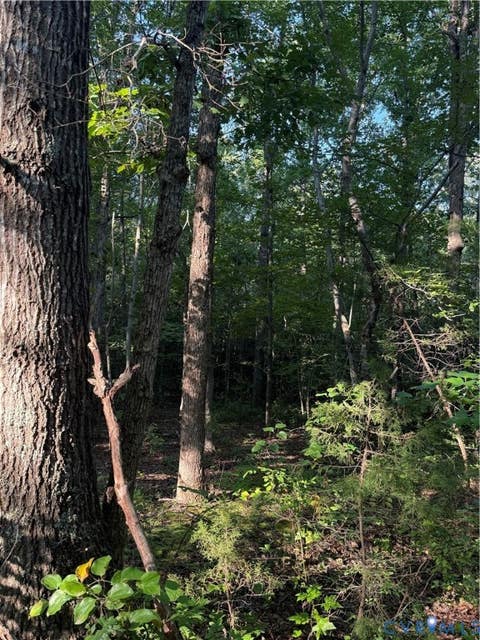 Tiny photo for Lot 20 Foxbrook Lane, Louisa, VA 23093 (MLS # 2622651)