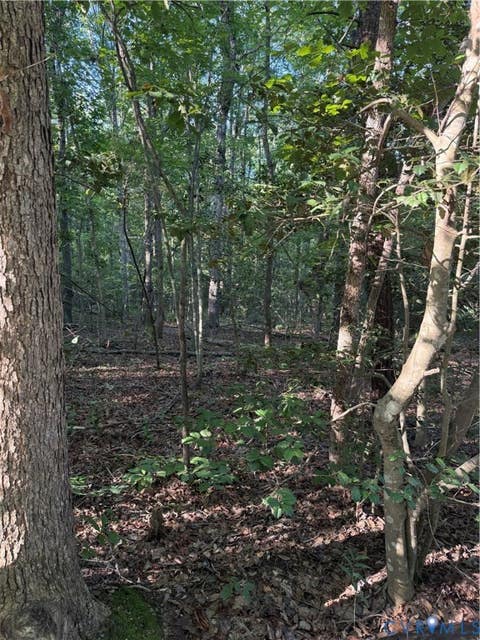 Tiny photo for Lot 20 Foxbrook Lane, Louisa, VA 23093 (MLS # 2622651)