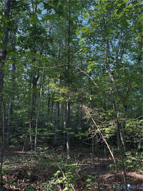 Tiny photo for Lot 20 Foxbrook Lane, Louisa, VA 23093 (MLS # 2622651)