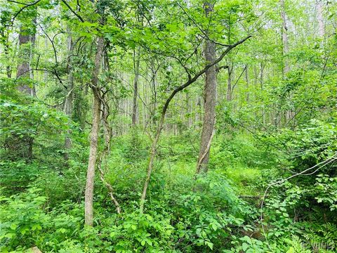 Tiny photo for 0 Pouncey Tract Road, Hanover, VA 23146 (MLS # 2508498)