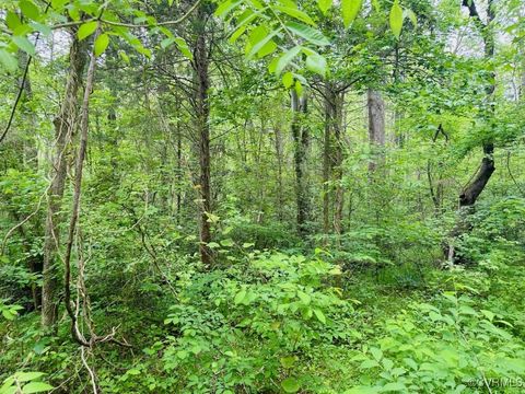 Tiny photo for 0 Pouncey Tract Road, Hanover, VA 23146 (MLS # 2508498)