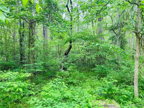 0 Pouncey Tract Road Hanover VA 23146