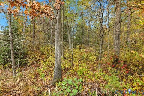 Tiny photo for 13581 Providence Run Road, Ashland, VA 23005 (MLS # 2528873)
