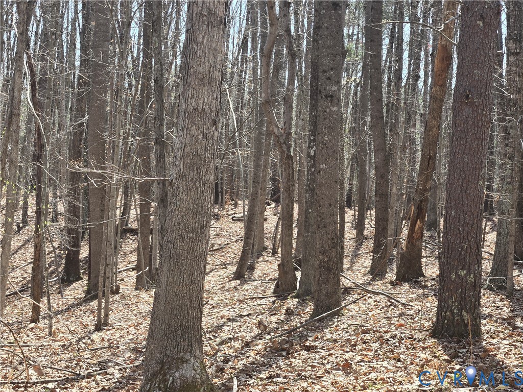 00 Equestrian Trail Road, New Canton, VA, 23123