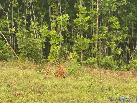 Tiny photo for 0 Liberty Chapel Rd., Appomattox, VA 24522 (MLS # 2620169)