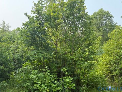 Tiny photo for 0 Liberty Chapel Rd., Appomattox, VA 24522 (MLS # 2620169)
