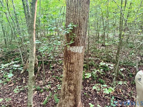 Tiny photo for 0 Liberty Chapel Rd., Appomattox, VA 24522 (MLS # 2620169)