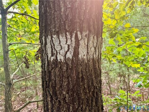 Tiny photo for 0 Liberty Chapel Rd., Appomattox, VA 24522 (MLS # 2620169)