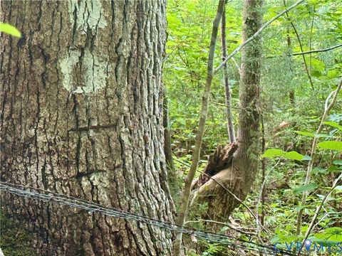 Tiny photo for 0 Liberty Chapel Rd., Appomattox, VA 24522 (MLS # 2620169)