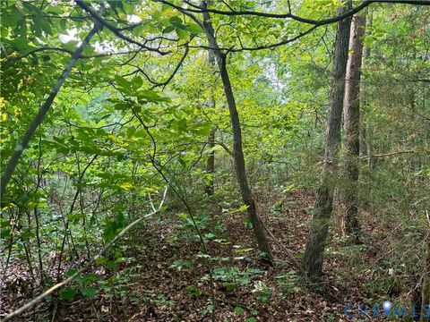 Tiny photo for 0 Liberty Chapel Rd., Appomattox, VA 24522 (MLS # 2620169)
