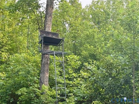 Tiny photo for 0 Liberty Chapel Rd., Appomattox, VA 24522 (MLS # 2620169)