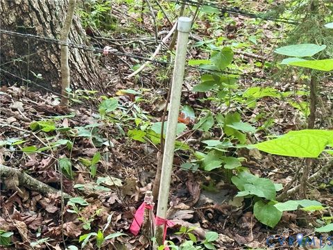 Tiny photo for 0 Liberty Chapel Rd., Appomattox, VA 24522 (MLS # 2620169)