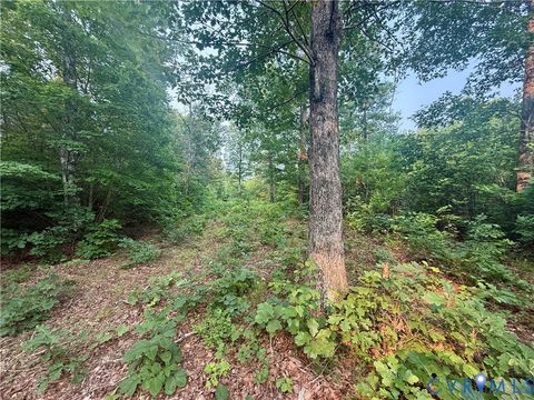 Tiny photo for 0 Liberty Chapel Rd., Appomattox, VA 24522 (MLS # 2620169)
