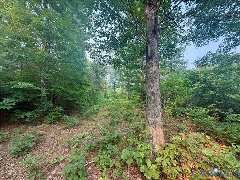 Tiny photo for 0 Liberty Chapel Rd., Appomattox, VA 24522 (MLS # 2620169)