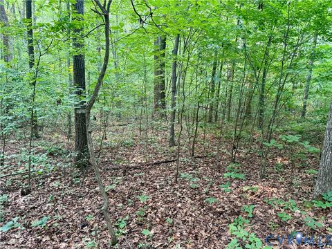 Tiny photo for 0 Liberty Chapel Rd., Appomattox, VA 24522 (MLS # 2620169)