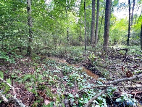 Tiny photo for 25.5 Acres Ladysmith Road, Ruther Glen, VA 22546 (MLS # 2620997)