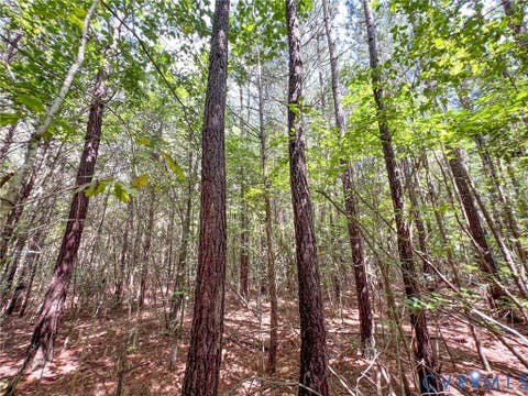 Tiny photo for 25.5 Acres Ladysmith Road, Ruther Glen, VA 22546 (MLS # 2620997)