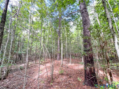Tiny photo for 25.5 Acres Ladysmith Road, Ruther Glen, VA 22546 (MLS # 2620997)