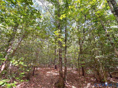 Tiny photo for 25.5 Acres Ladysmith Road, Ruther Glen, VA 22546 (MLS # 2620997)