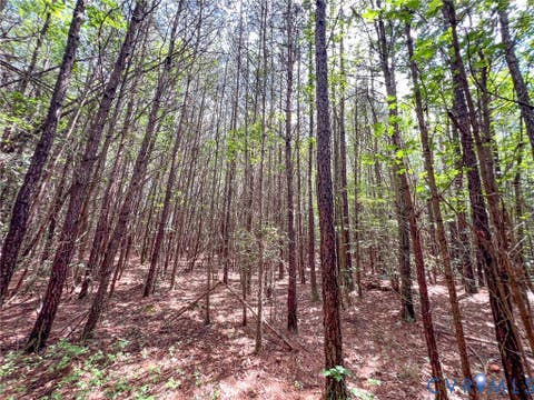 Tiny photo for 25.5 Acres Ladysmith Road, Ruther Glen, VA 22546 (MLS # 2620997)