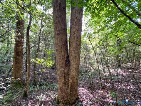 Tiny photo for 25.5 Acres Ladysmith Road, Ruther Glen, VA 22546 (MLS # 2620997)