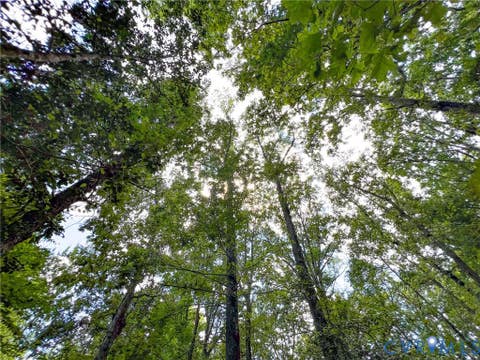Tiny photo for 25.5 Acres Ladysmith Road, Ruther Glen, VA 22546 (MLS # 2620997)