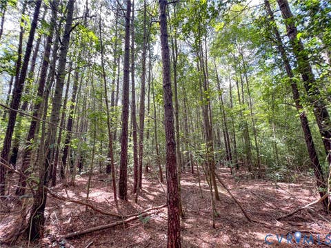 Tiny photo for 25.5 Acres Ladysmith Road, Ruther Glen, VA 22546 (MLS # 2620997)