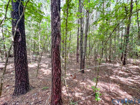 Tiny photo for 25.5 Acres Ladysmith Road, Ruther Glen, VA 22546 (MLS # 2620997)