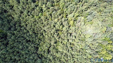 Tiny photo for 25.5 Acres Ladysmith Road, Ruther Glen, VA 22546 (MLS # 2620997)