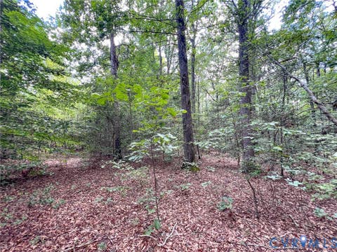 Tiny photo for 25.5 Acres Ladysmith Road, Ruther Glen, VA 22546 (MLS # 2620997)