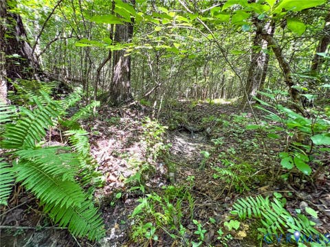 Tiny photo for 25.5 Acres Ladysmith Road, Ruther Glen, VA 22546 (MLS # 2620997)