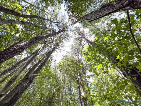Tiny photo for 25.5 Acres Ladysmith Road, Ruther Glen, VA 22546 (MLS # 2620997)